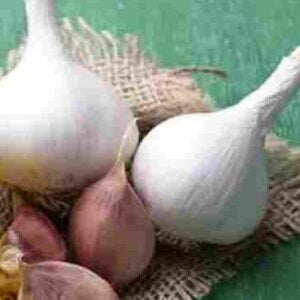 7 Benefits Of Garlic and Mustard Oil Body Massage