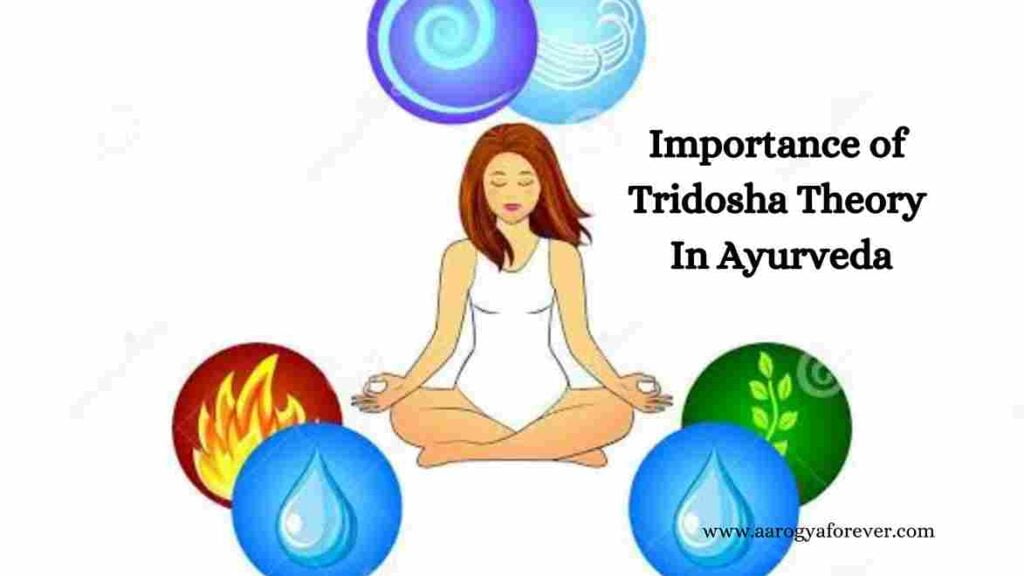 Importance of Tridosha Theory In Ayurveda