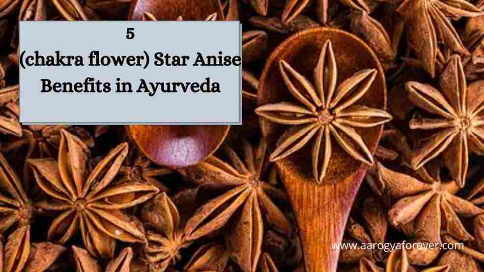 5 (chakra flower) Star Anise Benefits in Ayurveda