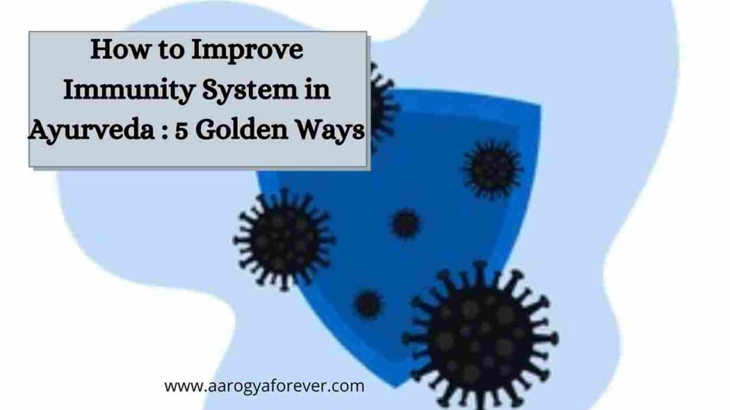 How to Improve Immunity System in Ayurveda