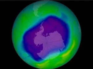 ozone layer and cancer