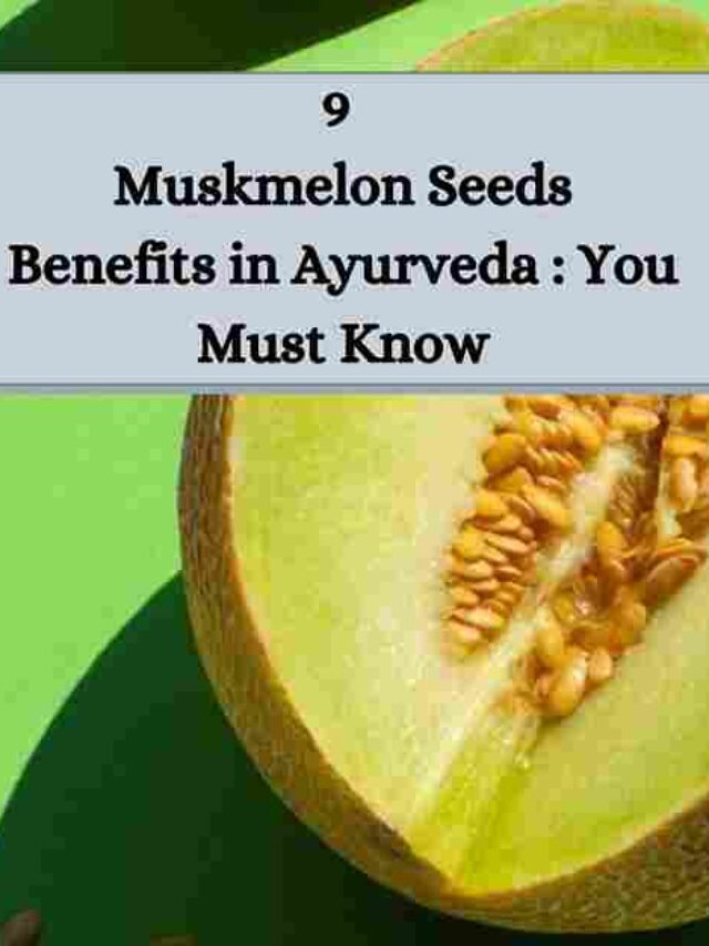 Muskmelon Seeds Benefits Ayurveda