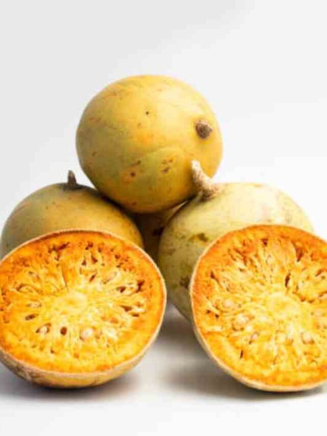 bael fruit in constipation