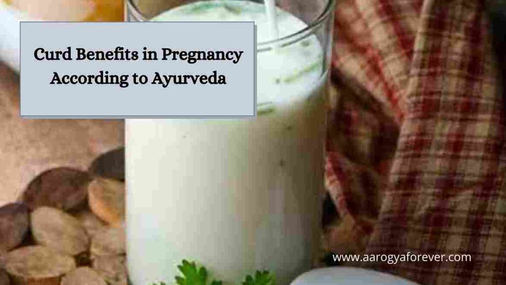 Curd Benefits in Pregnancy According to Ayurveda