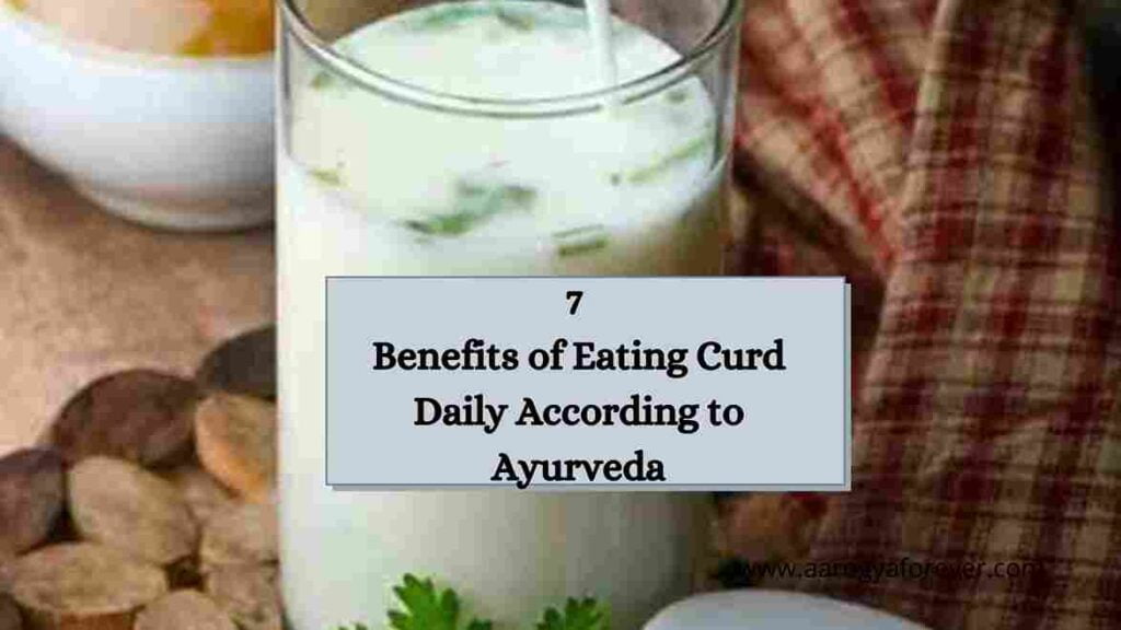 7 Benefits of Eating Curd Daily According to Ayurveda