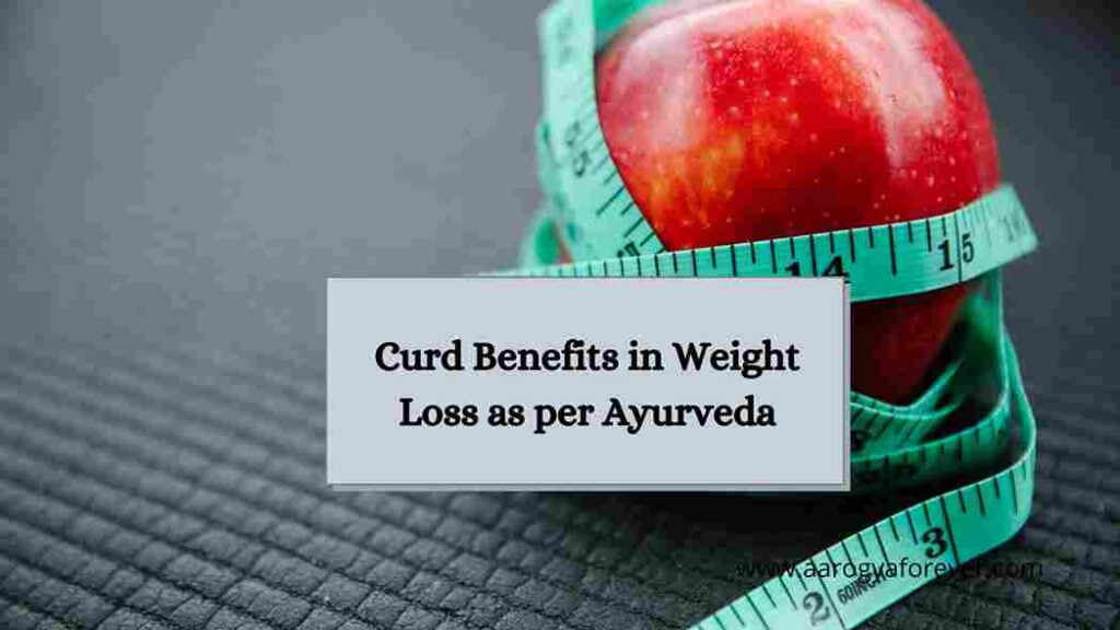 Curd Benefits in Weight Loss as per Ayurveda