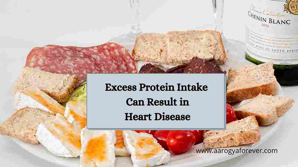 Excess Protein Intake Can Result in Heart Disease