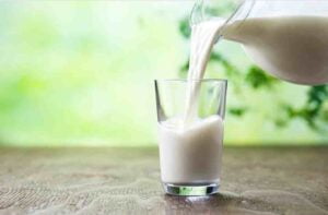 Why in Ayurveda Milk is good for constipation