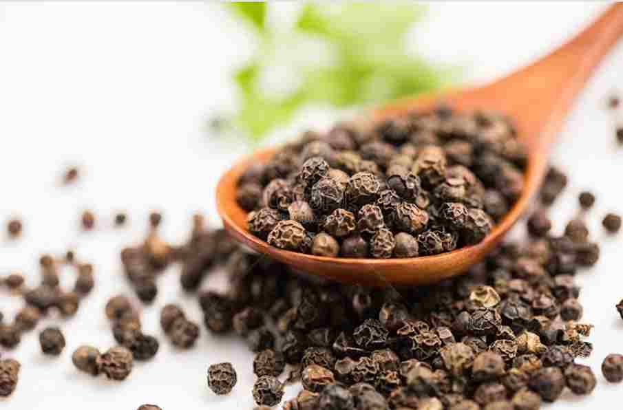 Benefits of Black Pepper in Ayurveda