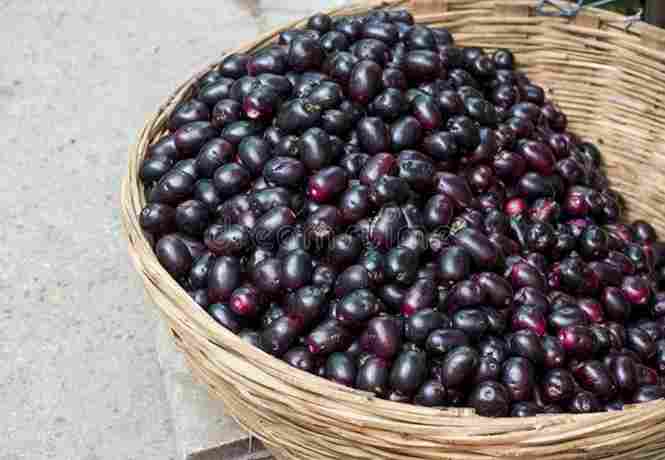 Best Fruits in Monsoon According to Ayurveda Ritucharya