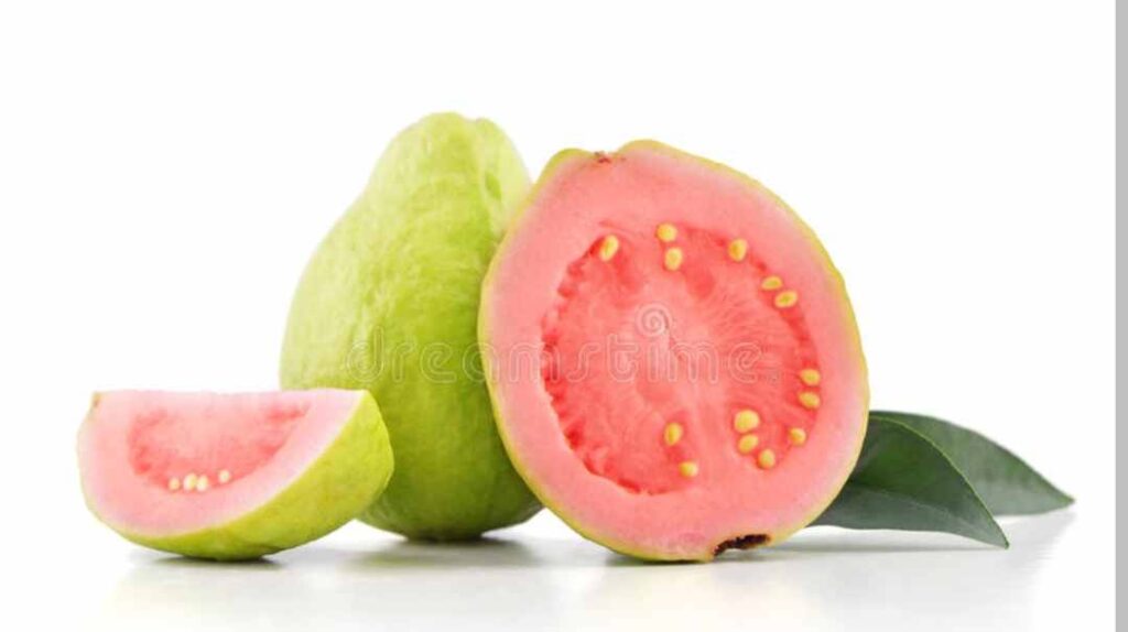 Ayurveda Benefits of Guava